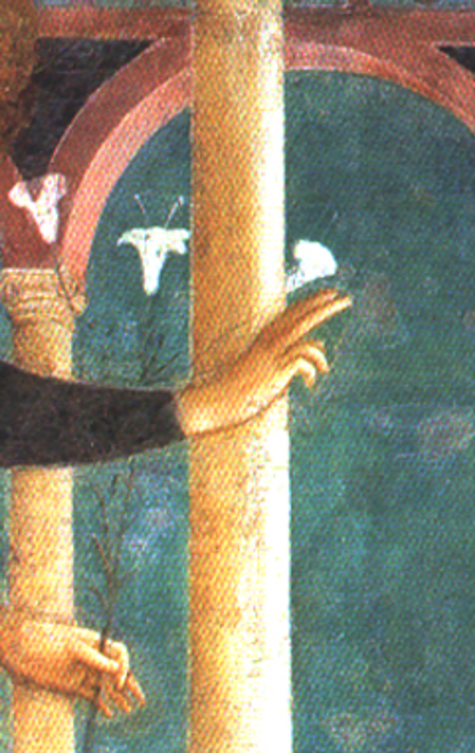 Fran Angelico, detail of an Angel Holding a Lily, from “Annunciation”, fresco, Florence Italy.