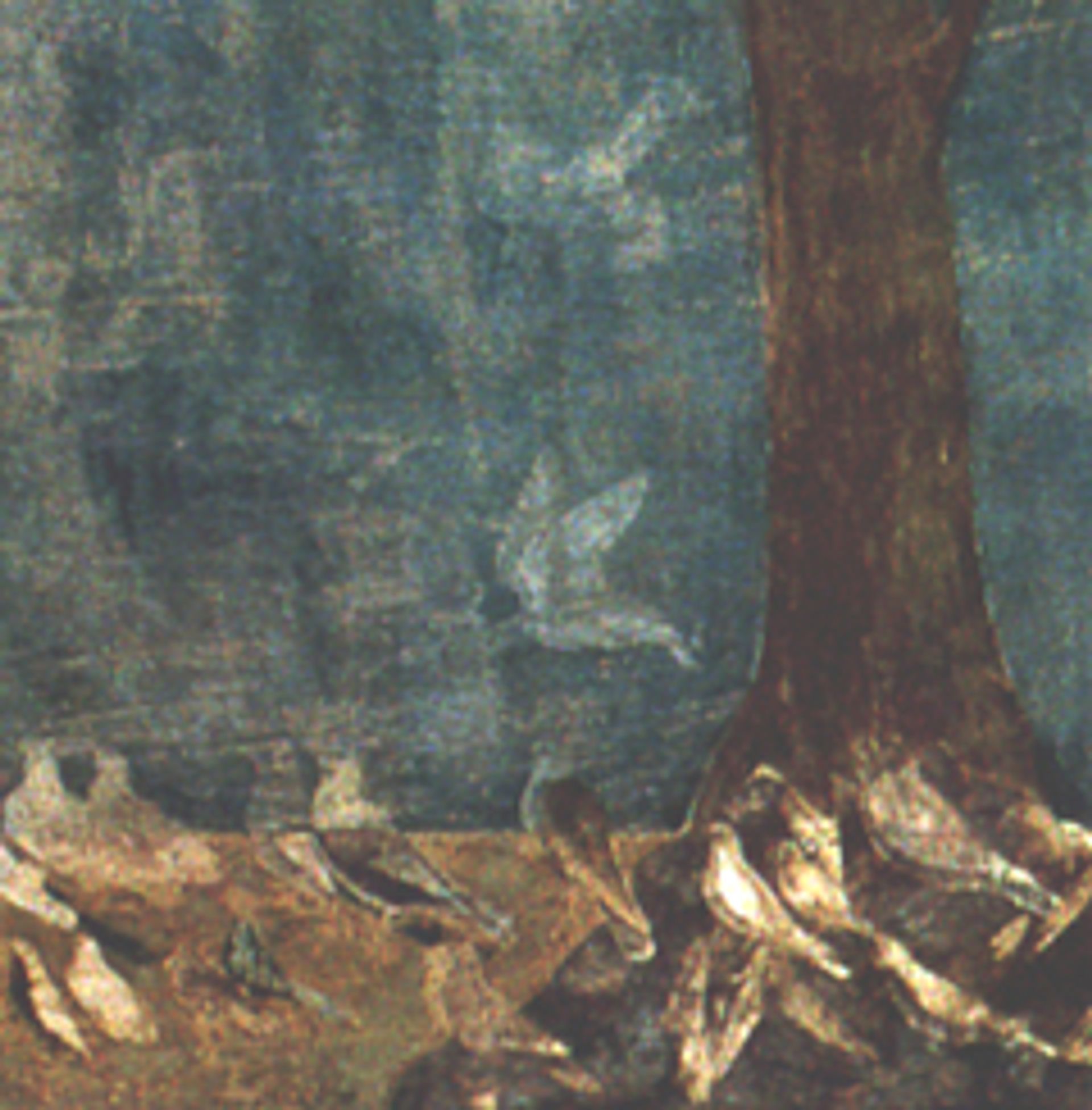 Giotto detail #2, from “Sermon to the Birds”, 1297-99, fresco, Church of St. Francis, Assisi, Italy.