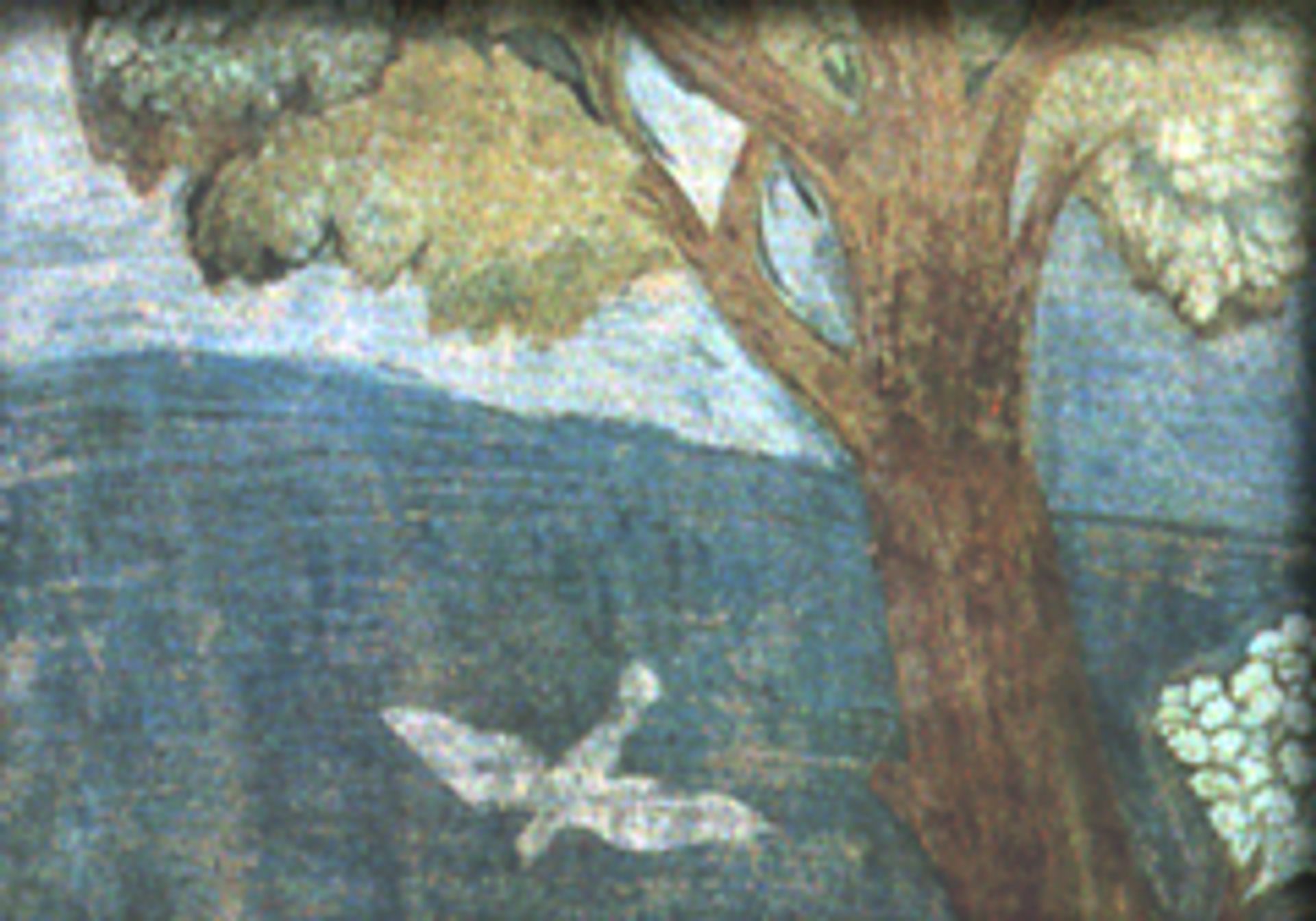 Giotto, detail from “Sermon to the Birds”, 1297-99, fresco, Church of St. Francis, Assisi, Italy.