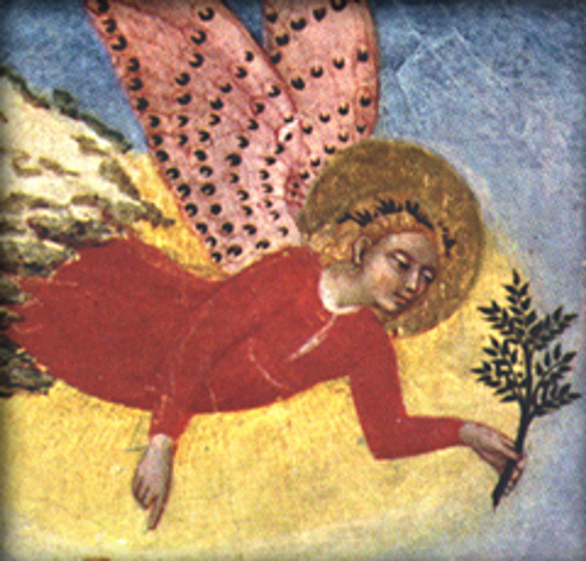 Sano Di Pietro, 1450, detail on an angel, from “Annunciation to the Shepherds”, tempera on board, Pinocoteca Nazionale, Siena, Italy.